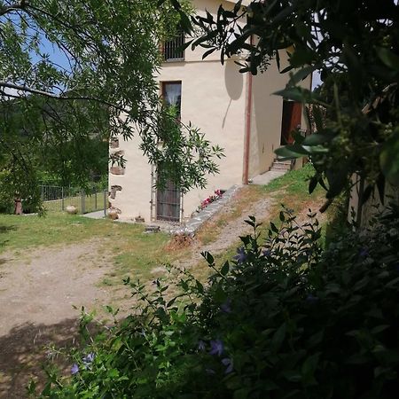 La Peonia Casa Vacanze In Montagna Prato Verde Panorama Stupendo Sardegna Seulo Exterior photo