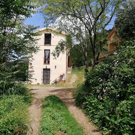 La Peonia Casa Vacanze In Montagna Prato Verde Panorama Stupendo Sardegna Seulo Exterior photo