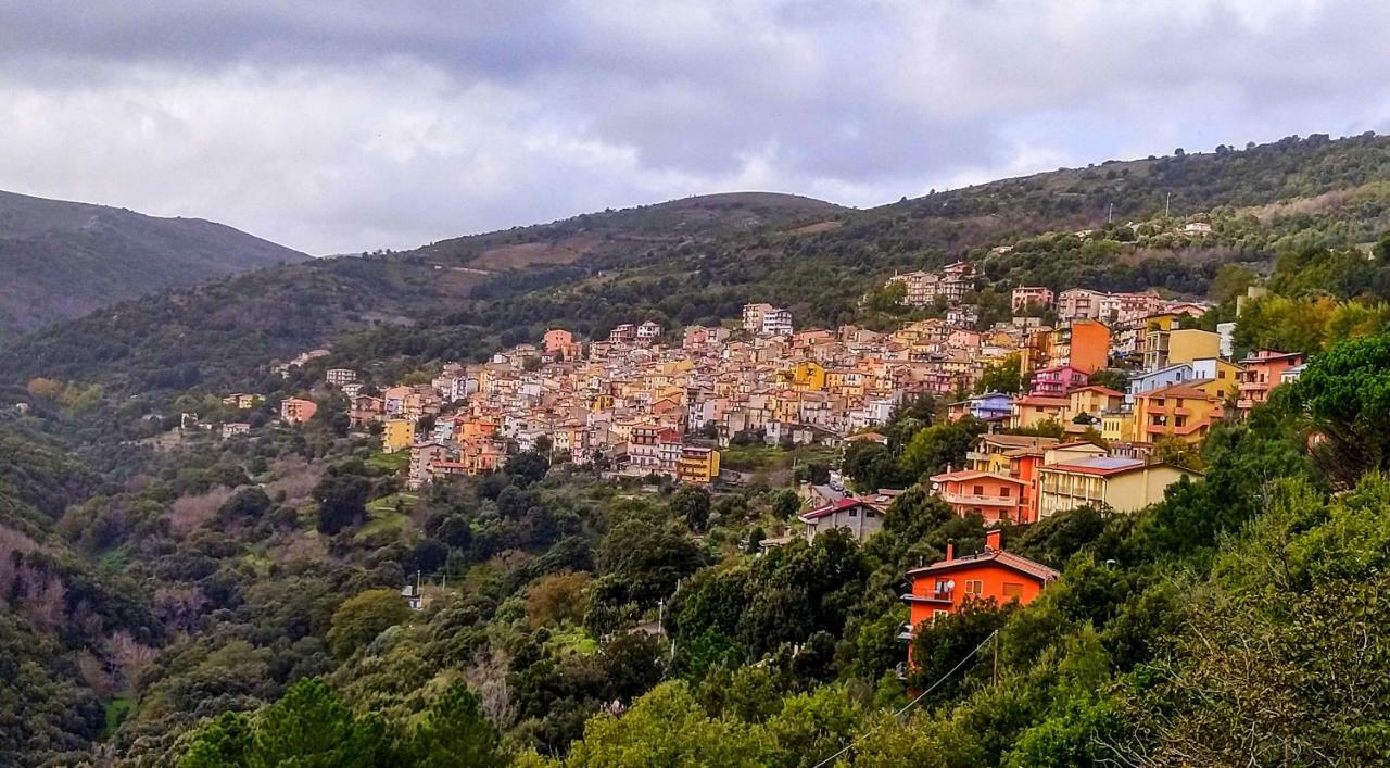 La Peonia Casa Vacanze In Montagna Prato Verde Panorama Stupendo Sardegna Seulo Exterior photo