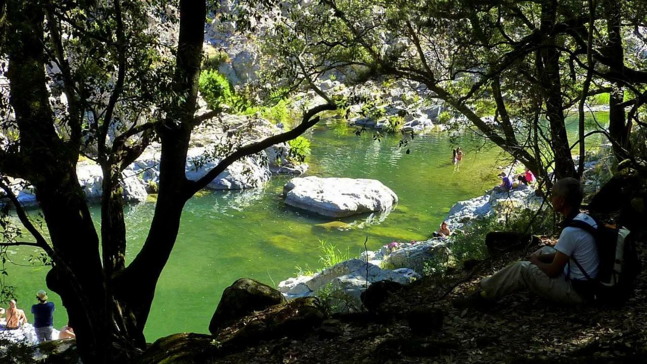 La Peonia Casa Vacanze In Montagna Prato Verde Panorama Stupendo Sardegna Seulo Exterior photo