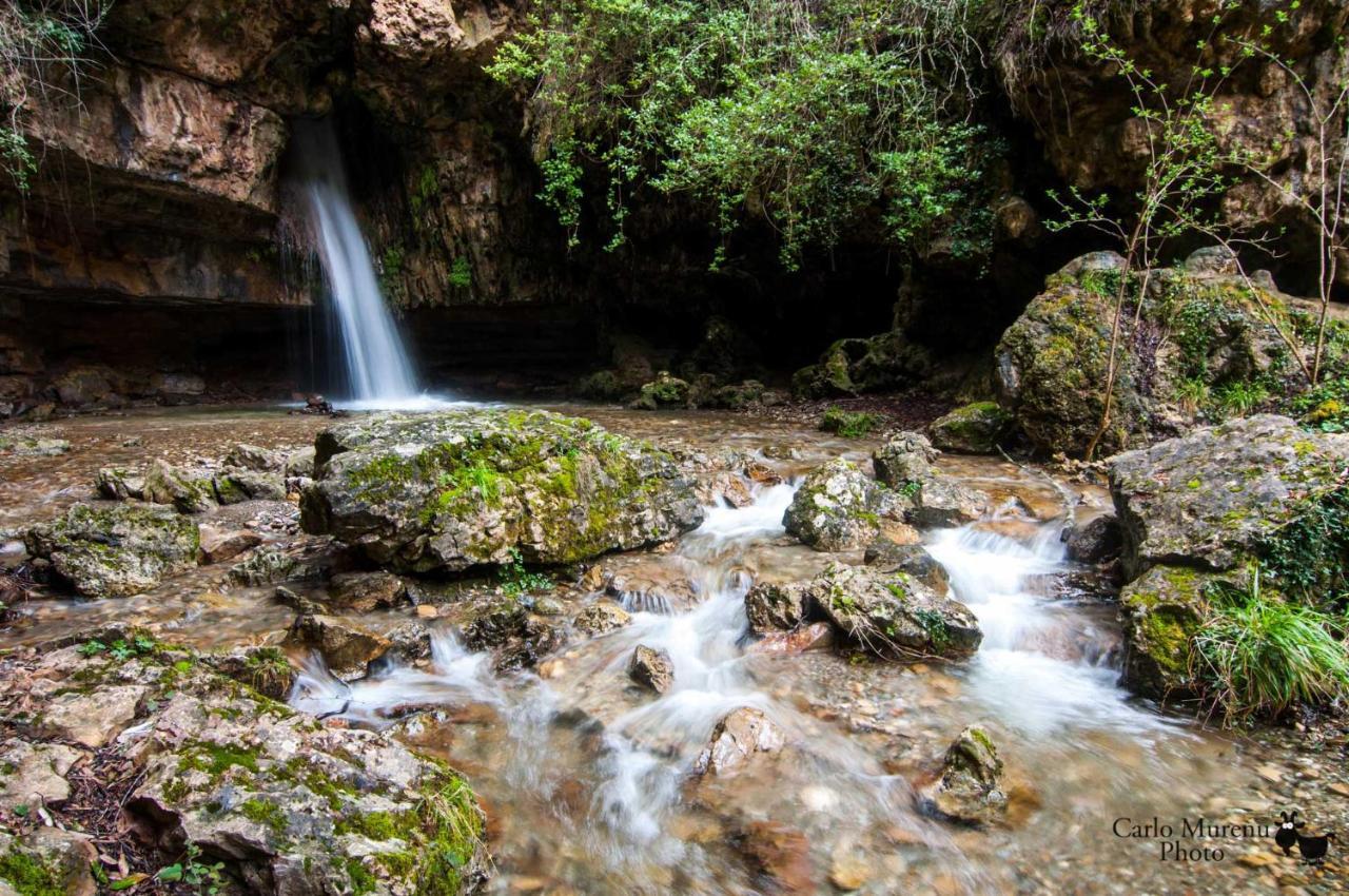 La Peonia Casa Vacanze In Montagna Prato Verde Panorama Stupendo Sardegna Seulo Exterior photo